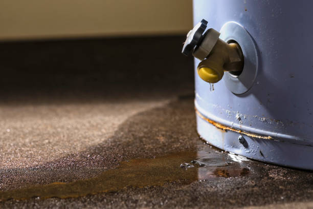 Best Water damage contractors near me  in Key West, FL