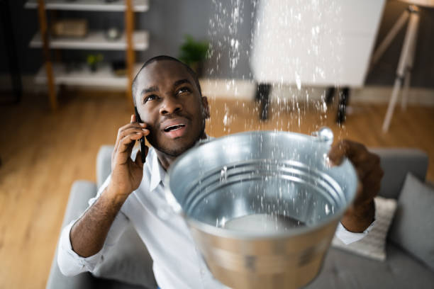 Best Professional water damage repair  in Key West, FL