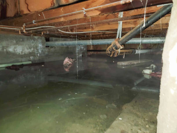 Best Water damage restoration near me  in Key West, FL