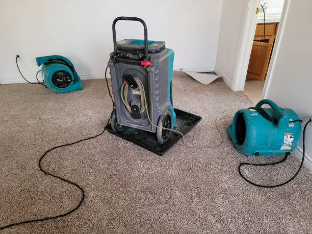 Best Fire Damage Restoration  in Key West, FL