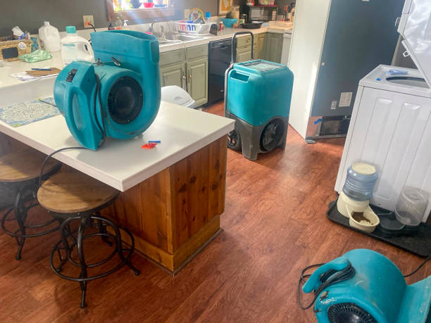 Best Water damage restoration cost  in Key West, FL