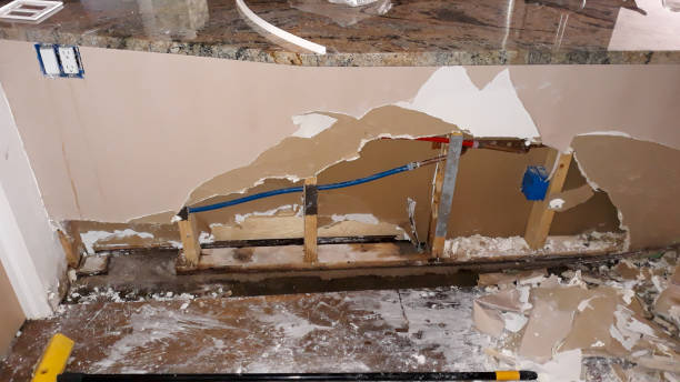 Best Carpet water damage restoration  in Key West, FL