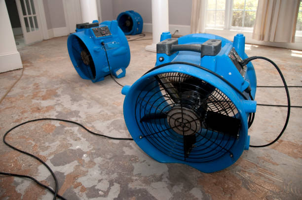 Best Water damage contractors near me  in Key West, FL