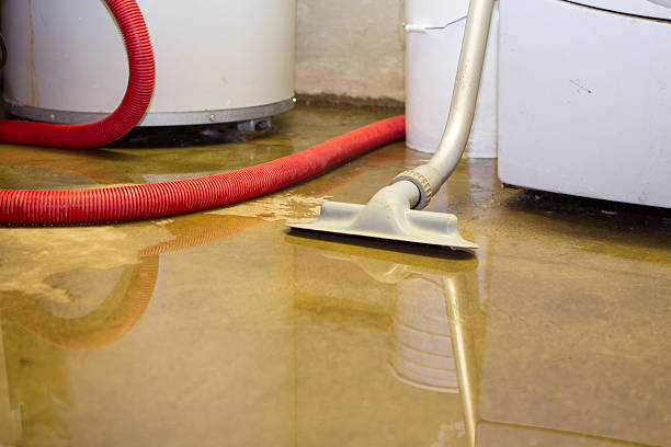Best Local water damage restoration  in Key West, FL