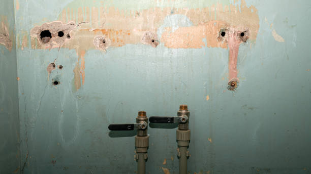 Best Water damage restoration near me  in Key West, FL