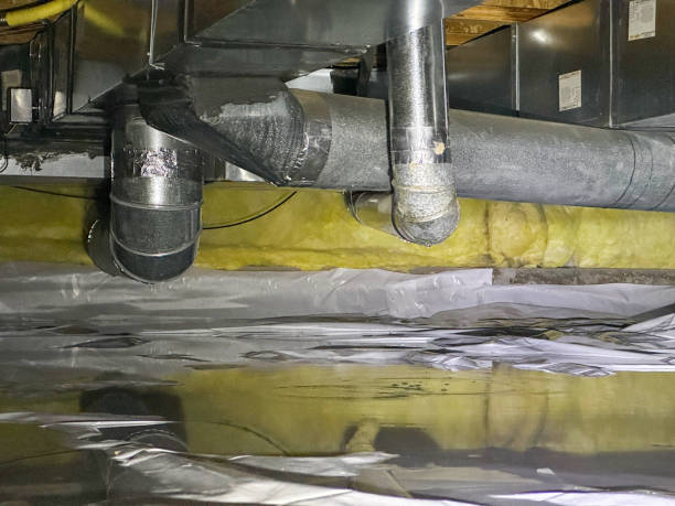 Best Water damage restoration experts  in Key West, FL