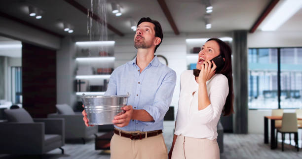 Best Water damage cleanup near me  in Key West, FL