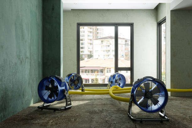 Best 24-hour water damage restoration  in Key West, FL