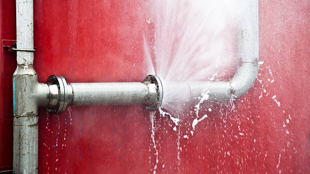 Best Professional water damage repair  in Key West, FL
